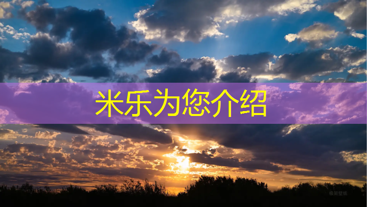 <strong>米乐m6官网登录入口为您介绍：体操力量锻炼球</strong>